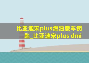 比亚迪宋plus燃油版车钥匙_比亚迪宋plus dmi